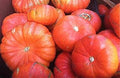 Vegetable Seeds,Garden seeds, Seeds For Planting,Plant Seeds
