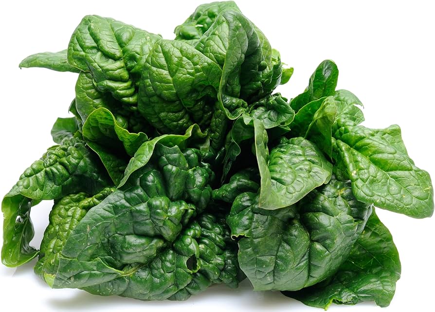 Vegetable Seeds,Garden seeds, Seeds For Planting,Plant Seeds