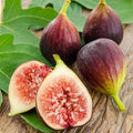 Fruit Seeds,Garden seeds, Seeds For Planting,Plant Seeds