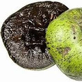 Digyna fruit seeds for planting - Heirloom & Non-GMO garden seeds, sweet exotic tree variety