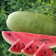 Premium Pink Watermelon fruit seeds for planting - Heirloom & Non-GMO Garden seeds, sweet crop for indoor & outdoor gardens