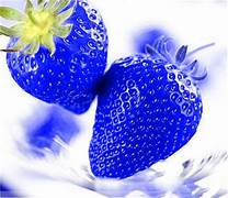 Blue Strawberry fruit seeds for planting - Heirloom & Non-GMO Garden seeds, unique sweet berry variety for gardens
