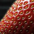 Bright Orange Strawberry fruit seeds for planting - Heirloom & Non-GMO Garden seeds