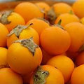 Solanum fruit seeds for planting – Heirloom & Non-GMO flavorful nightshade garden seeds