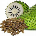 Soursop fruit seeds for planting - Heirloom & Non-GMO Garden seeds, brown tropical variety for lush gardens