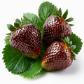 Fruit Seeds,Garden seeds, Seeds For Planting,Plant Seeds