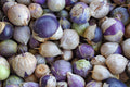 Purple Tomatillo Seeds – Heirloom Non-GMO Organic Tangy Mexican Vegetable Seeds for Planting