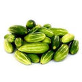 Ivy Gourd Seeds for Planting – Heirloom Non-GMO High Germination Seeds for Organic Tropical Gardens