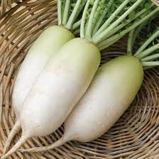 Alpine Radish Vegetable Seeds for Planting – Heirloom Non-GMO Cool Climate Fast Growers – High Germination Organic Garden Seeds