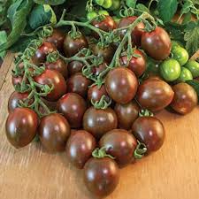 Chocolate Sprinkles Hybrid Grape Tomato Seeds – Heirloom Non-GMO Sweet Snack Variety – High Germination Organic Garden Seeds