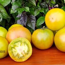 Big Huge Tomato Vegetable Seeds for Planting – Heirloom Non-GMO Yellow Mix – High Germination Organic Garden Seeds