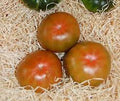 Vegetable Seeds,Garden seeds, Seeds For Planting,Plant Seeds