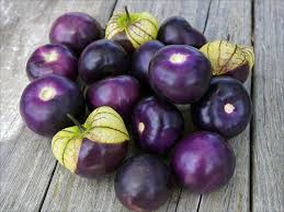 Milpero Purple Tomatillo Vegetable Seeds for Planting – Heirloom Non-GMO High Germination Seeds