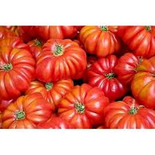 Bucks County Tomato Seeds for Planting – Heirloom Non-GMO Organic Garden Seeds, High Germination, Large Juicy Tomatoes