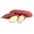 Vegetable Seeds,Garden seeds, Seeds For Planting,Plant Seeds
