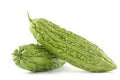 Vegetable Seeds,Garden seeds, Seeds For Planting,Plant Seeds