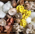 Vegetable Seeds,Garden seeds, Seeds For Planting,Plant Seeds