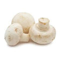 Vegetable Seeds,Garden seeds, Seeds For Planting,Plant Seeds