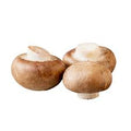 Vegetable Seeds,Garden seeds, Seeds For Planting,Plant Seeds