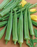 Vegetable Seeds,Garden seeds, Seeds For Planting,Plant Seeds