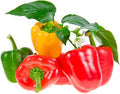 Vegetable Seeds,Garden seeds, Seeds For Planting,Plant Seeds