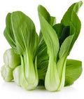 Vegetable Seeds,Garden seeds, Seeds For Planting,Plant Seeds