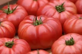 Huge Tomato Seeds for Planting – Light Orange Heirloom Non-GMO Organic Garden Seeds, High Germination for Slicing