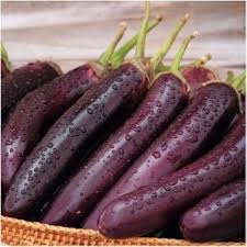 Eggplant De Barbentane Seeds for Planting – Heirloom Non-GMO High Germination Vegetable Seeds for Cooking