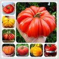 Vegetable Seeds,Garden seeds, Seeds For Planting,Plant Seeds