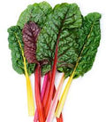Vegetable Seeds,Garden seeds, Seeds For Planting,Plant Seeds