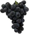 Fruit Seeds,Garden seeds, Seeds For Planting,Plant Seeds