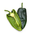 Vegetable Seeds,Garden seeds, Seeds For Planting,Plant Seeds