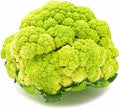 Vegetable Seeds,Garden seeds, Seeds For Planting,Plant Seeds