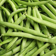 Missouri Wonder Pole Bean Seeds for Planting – Heirloom Non-GMO Climbing Variety