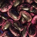 Vegetable Seeds,Garden seeds, Seeds For Planting,Plant Seeds