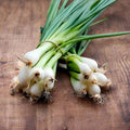 Vegetable Seeds,Garden seeds, Seeds For Planting,Plant Seeds