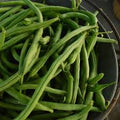 Vegetable Seeds,Garden seeds, Seeds For Planting,Plant Seeds