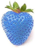 Fruit Seeds,Garden seeds, Seeds For Planting,Plant Seeds