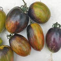Vegetable Seeds,Garden seeds, Seeds For Planting,Plant Seeds