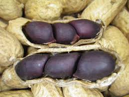 Peanut Vegetable Seeds for Planting – Heirloom Non-GMO Black-Brown Shell Variety
