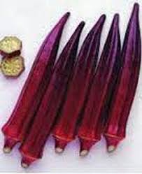 Blue Okra Vegetable Seeds for Planting – Heirloom Non-GMO Organic Garden Seeds with High Germination