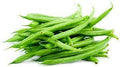 Vegetable Seeds,Garden seeds, Seeds For Planting,Plant Seeds