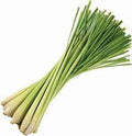 Herb Seeds,Garden seeds, Seeds For Planting,Plant Seeds