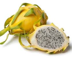 Fruit Seeds,Garden seeds, Seeds For Planting,Plant Seeds