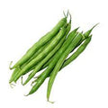 Vegetable Seeds,Garden seeds, Seeds For Planting,Plant Seeds