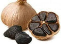 Vegetable Seeds,Garden seeds, Seeds For Planting,Plant Seeds
