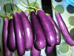 Eggplant Seeds for Planting – Dark Purple Heirloom Non-GMO, High Germination Organic Garden Seeds for Culinary.