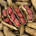 Vegetable Seeds,Garden seeds, Seeds For Planting,Plant Seeds