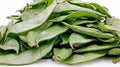 Vegetable Seeds,Garden seeds, Seeds For Planting,Plant Seeds