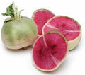 Vegetable Seeds,Garden seeds, Seeds For Planting,Plant Seeds